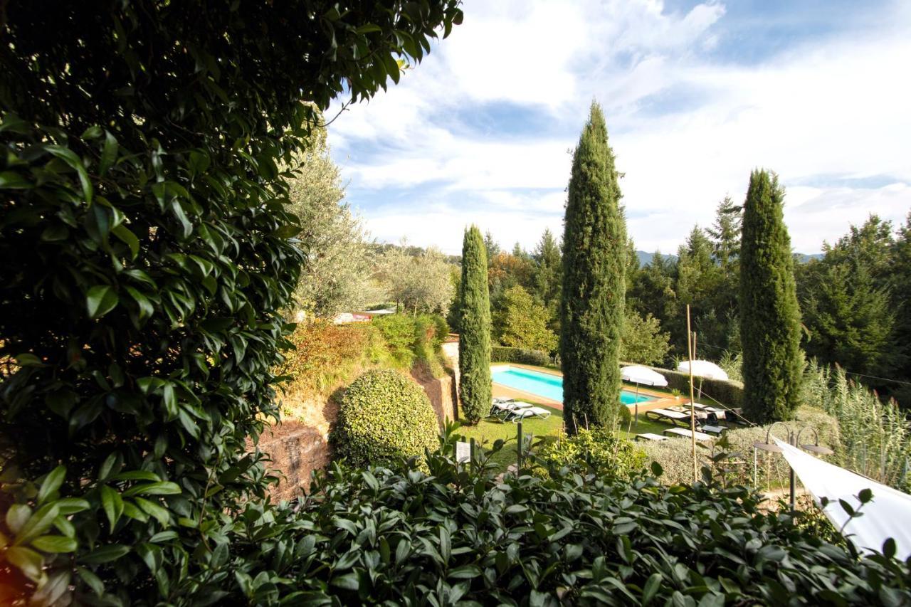 Casetta Di Butia, Glicine Apartment Borgo a Mozzano Buitenkant foto