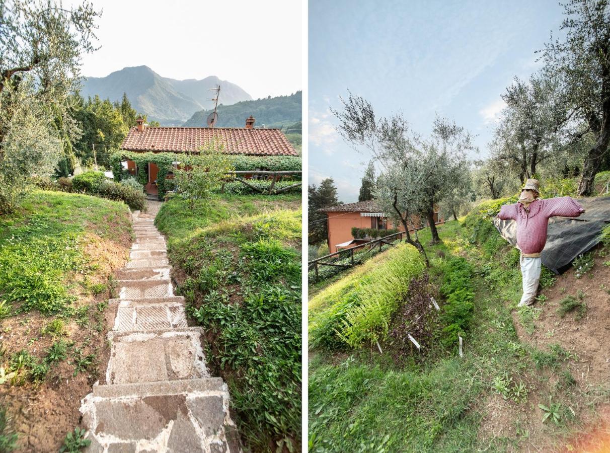 Casetta Di Butia, Glicine Apartment Borgo a Mozzano Buitenkant foto