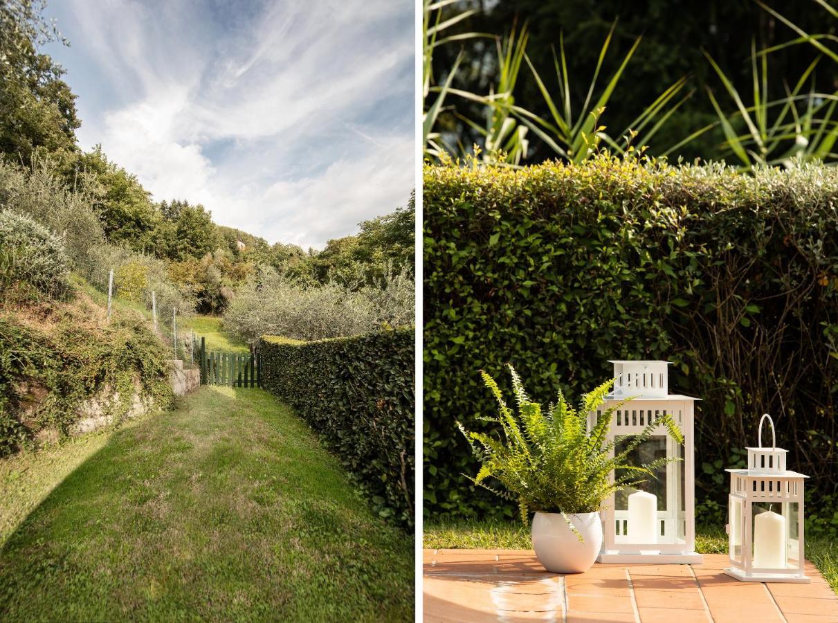 Casetta Di Butia, Glicine Apartment Borgo a Mozzano Buitenkant foto
