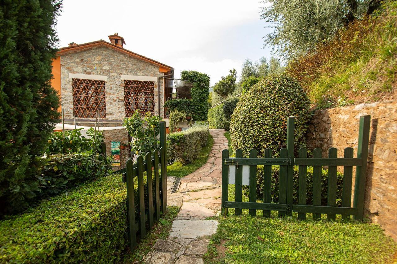 Casetta Di Butia, Glicine Apartment Borgo a Mozzano Buitenkant foto