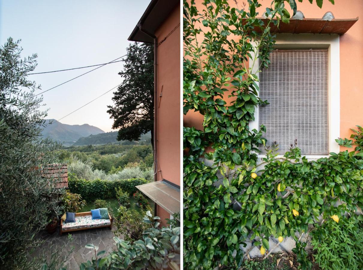 Casetta Di Butia, Glicine Apartment Borgo a Mozzano Buitenkant foto